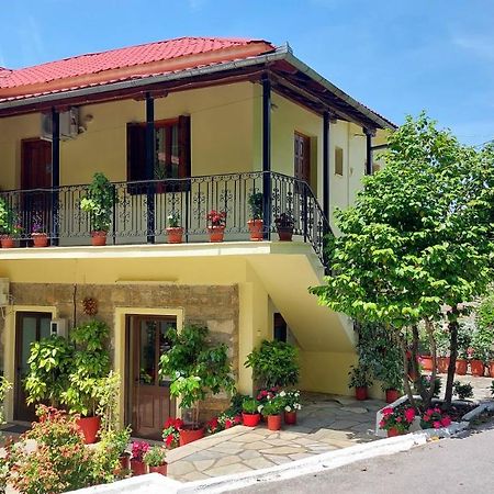 ホテル Λευκή Καμέλια Anilio Pelion エクステリア 写真