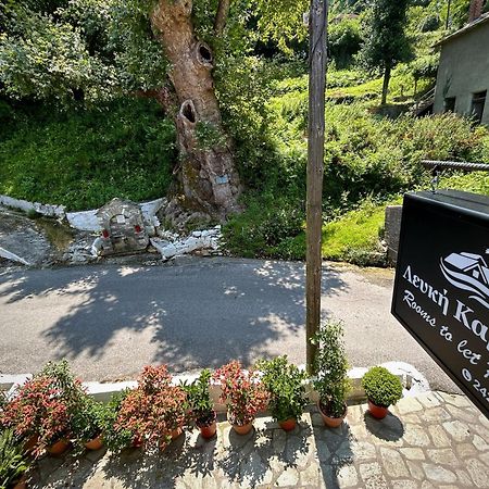 ホテル Λευκή Καμέλια Anilio Pelion エクステリア 写真