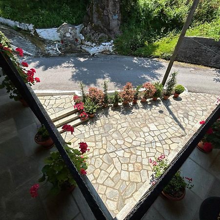 ホテル Λευκή Καμέλια Anilio Pelion エクステリア 写真
