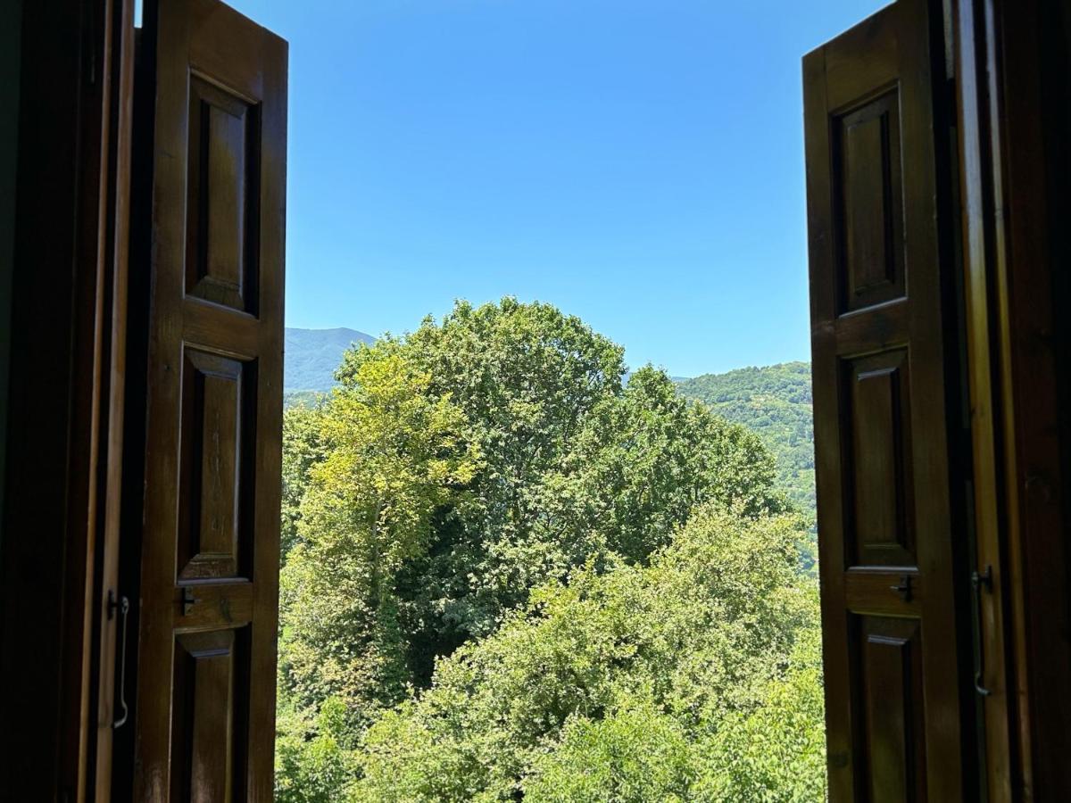 ホテル Λευκή Καμέλια Anilio Pelion エクステリア 写真