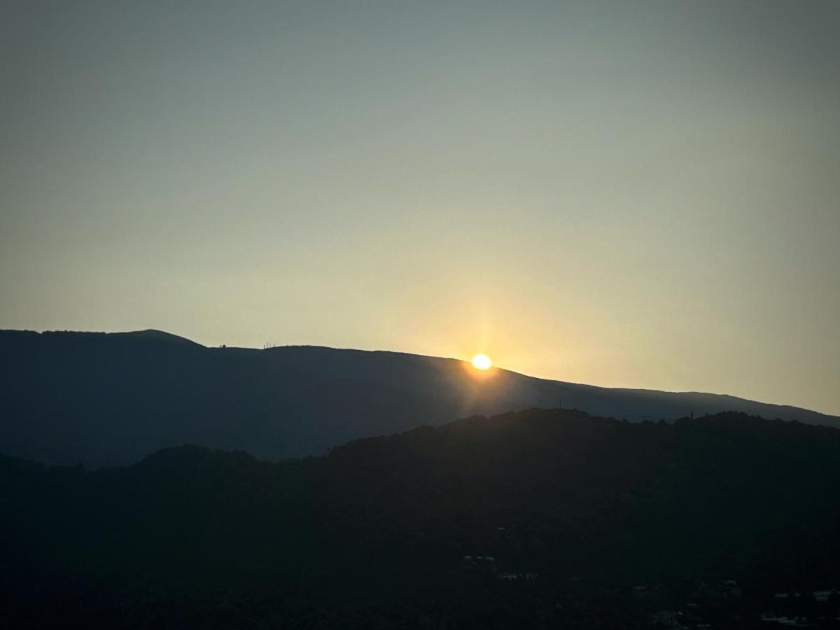 ホテル Λευκή Καμέλια Anilio Pelion エクステリア 写真