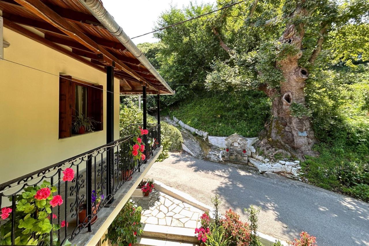 ホテル Λευκή Καμέλια Anilio Pelion エクステリア 写真