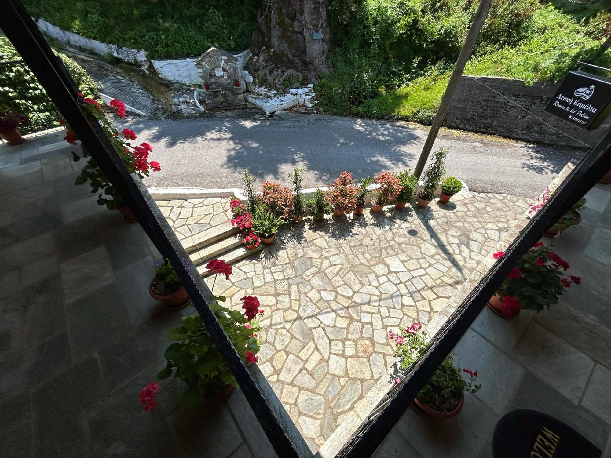 ホテル Λευκή Καμέλια Anilio Pelion エクステリア 写真