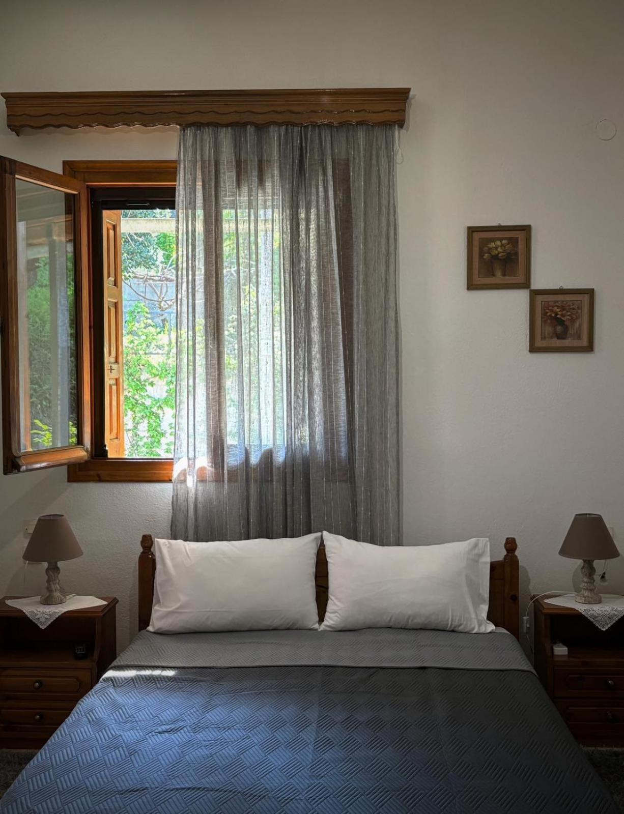 ホテル Λευκή Καμέλια Anilio Pelion エクステリア 写真