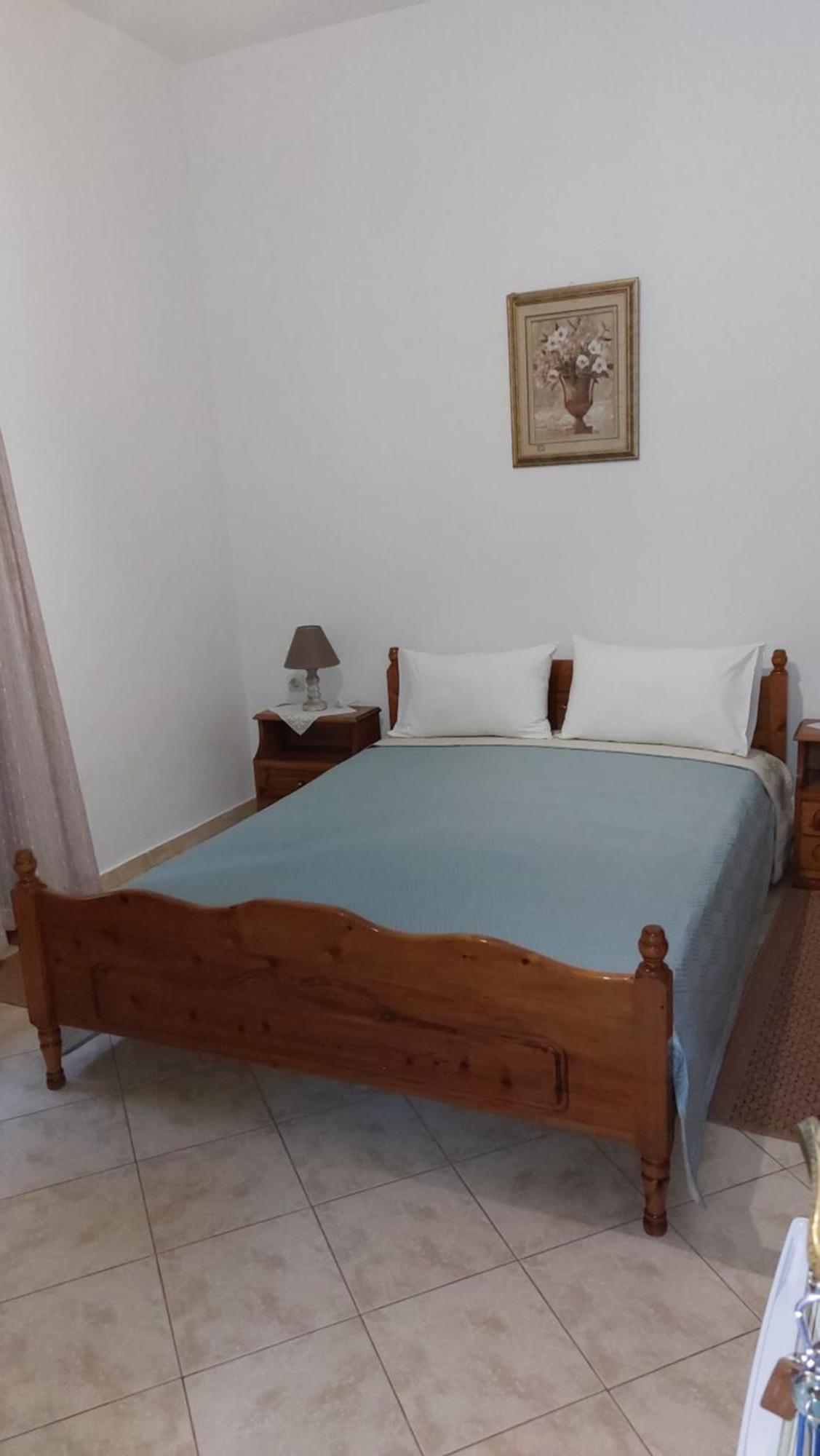 ホテル Λευκή Καμέλια Anilio Pelion エクステリア 写真